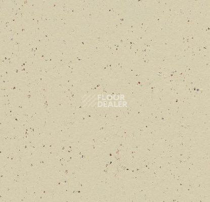 Линолеум Forbo Marmoleum Solid Cocoa 3584-358435 white chocolate фото 1 | FLOORDEALER